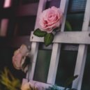 Almaa - The Broken Flower