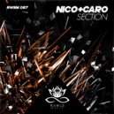 nico+caro - Section
