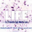 Dj Prosvirin ft MarGo Lane - Life (KalashnikoFF Pitch-down vocal mix)