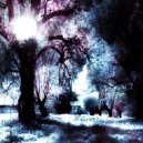 Vaeros - White Forest