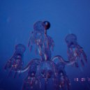 tigresss - Solivagant