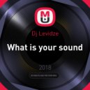 Dj Levidze - What is your sound