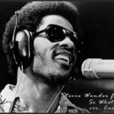 Stevie Wonder - So What The Fuss Ft. Q-Tip (ver. Casey Price)