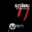 Ales Andru - Wonderless Paradox