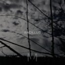 Mahlow - Bacillus