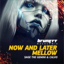 Sage The Gemini & Calvo - Now And Later Mellow (Dj Brunett Mashup Mix)