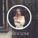 Nayio Bitz feat. Chris Willis - Love Is Gone