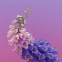 Flume X Odesza - Insane (Dram Daniel Bootleg)