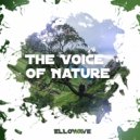 ELLOWAVE - The Voice of Nature