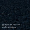 Sonnengruss Feat. Richard Istel - Talking In Your Sleep (Magnitola Extended Mix)