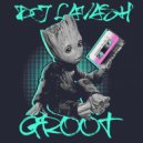 DJ Lavash - Groot