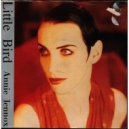 Annie Lennox - Little Bird
