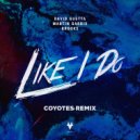 David Guetta, Martin Garrix & Brooks - Like I Do