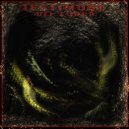 Testimone Del Fuoco - Venom XXIII (Original Mix)