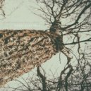 Pavel Svetlove feat. Vâlvâ - Under Your Skin (Wild Dark & ariaano Remix)