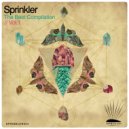 Roi Okev - Never Sleep (Original Mix)