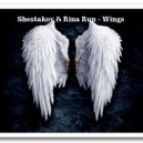 Shestakov & Rina Run - Wings