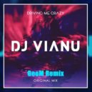 Dj Vianu - Driving Me Crazy