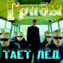 Грибы - Тает Лёд