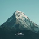Uoak feat. Sander Nijbroek - All Around Us