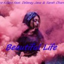 Disco Killerz Feat. Delaney Jane & Sarah Charness - Beautiful Life (Original Mix)