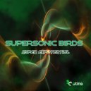 Supersonic Birds - Hyper Exponential