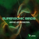 Supersonic Birds - India Africa Sky (Original Mix)