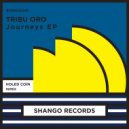 Tribu Oro - Down The Road (Holed Coin Remix)
