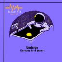 Undergo - Carabas_in a desert (Original mix)