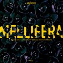 Mellifera - High and Low