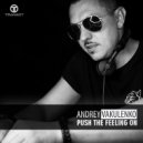 Andrey Vakulenko - Push The Feeling On