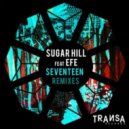 Sugar Hill - Seventeen (Anderson Noise Remix)