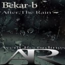 Bekar-b - After The Rain