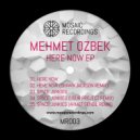 Mehmet Özbek - Space Junkies (Ugur Project Remix)