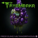 Tryambaka - Void