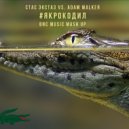 Стас Экстаз vs. Adam Walker - Я крокодил (BNC MUSIC mash up) ()