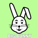 Big Bunny - Saltation (Dub Mix)