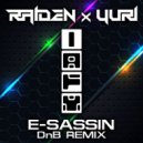 Raiden (feat. Yuri) - I Always Find You