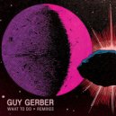 Guy Gerber - What To Do