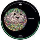 Charlie Sparks - Overtime ()