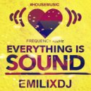 Emilixdj - Everything is sound