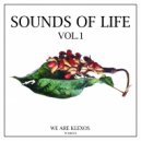 Nellis - Fight Against Drugs (Original Mix)