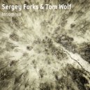 Sergey Forks & Tom Wolf - Insomnia