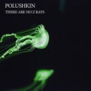 Polushkin - There Are No Z Rays