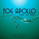 Joe Apollo - What You Need