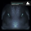 Sygnals - Among Others (Original Mix)