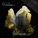 Richard V - No Stress (Original Mix)