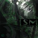 Ism - The Rhythm Stick (dont fuck with me)