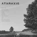 Anluk Sequence - Artforms (Original Mix)