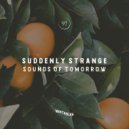 Suddenly Strange - The Professor\'s Robot (Original Mix)